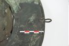 Foto von Bronzebreitrandfußschale (NHMW-PRAE-025437)